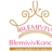 blemivivkoncept