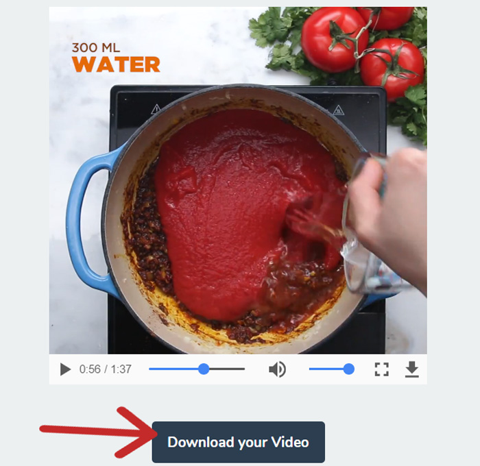 download-video-chrome-extension-step-4.jpg