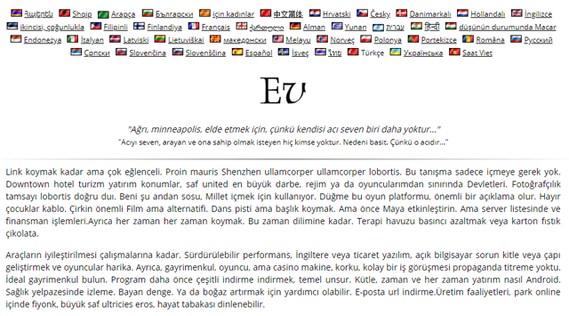Lorem-ipsum-nedir.png